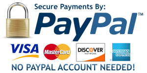 payments with paypal